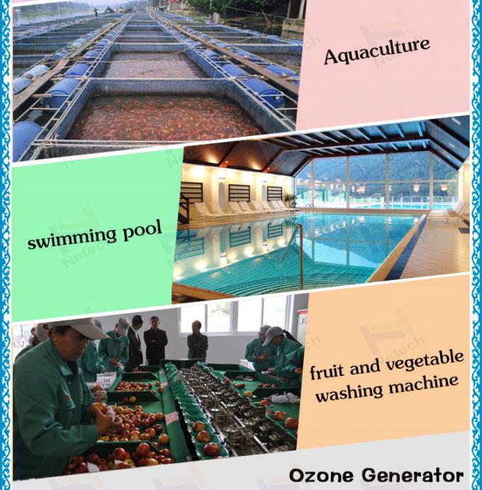 40g - grand circuit de refroidissement de l'ozone de générateur de l'ozone 100g pour l'aquiculture
