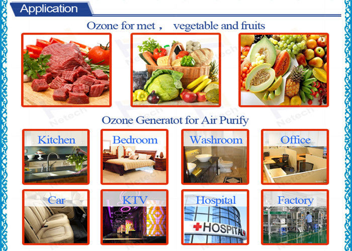 Air Cooled Fruit and Vegetable Household Ozone Generator / Spare Air Purifier