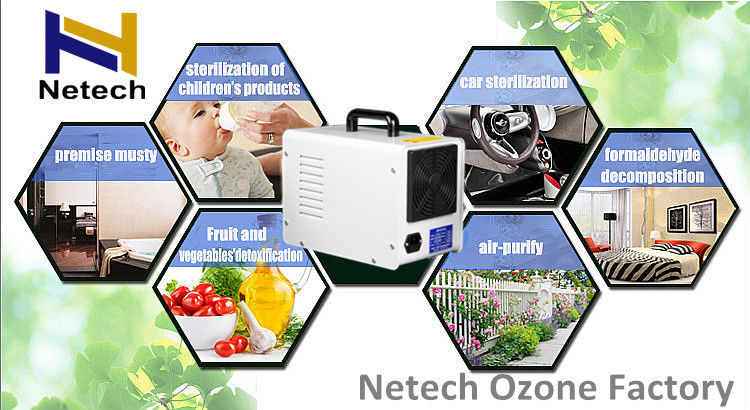 Air Cooled Hotel Ozone Machine For Odor Smoke Removal / 110V 220V Ozone Air Purifier